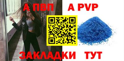 шишки Обь