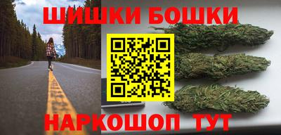 шишки Обь