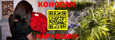 шишки Обь