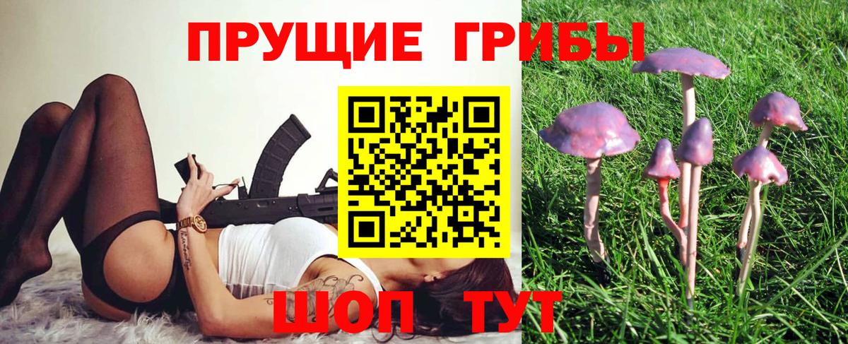 Псилоцибиновые грибы мухоморы Фурманов