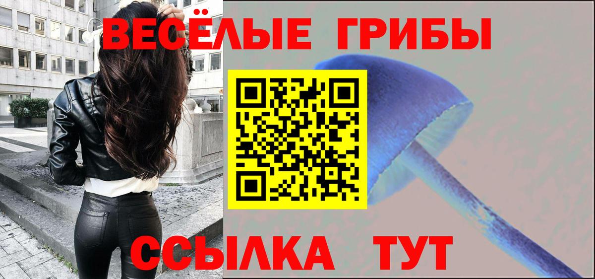 Фурманов  Галлюциногенные грибы мухоморы  Вход с VPN 